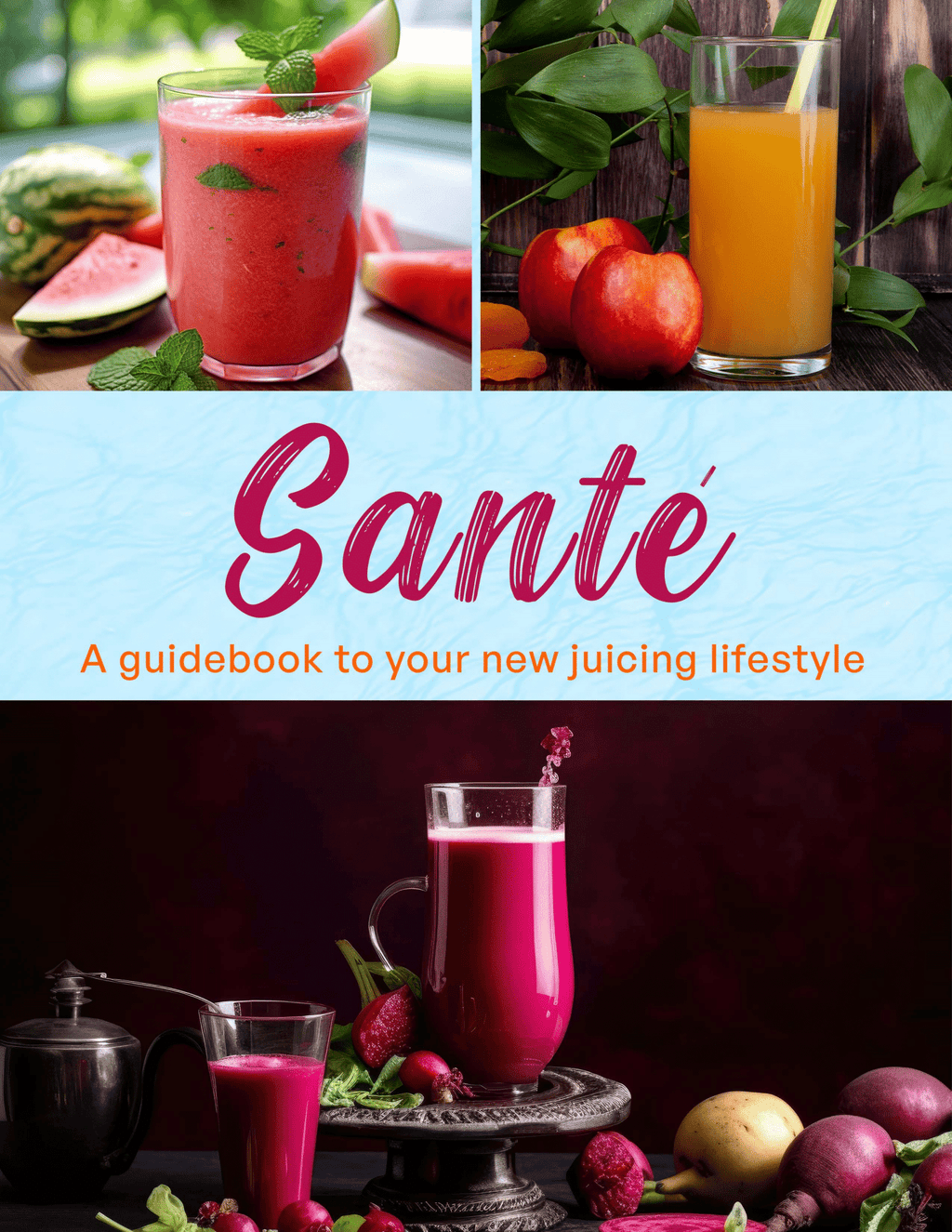 Santé Juicing Cookbook